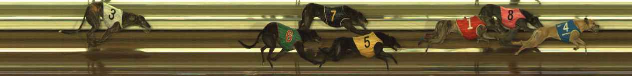 Photo finish for The Meadows Race 8