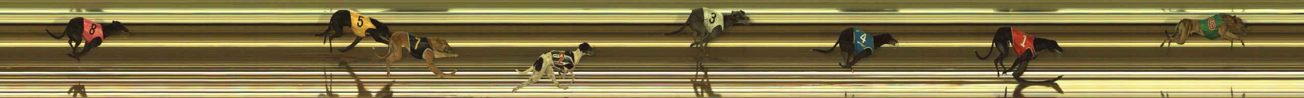 Photo finish for The Meadows Race 9
