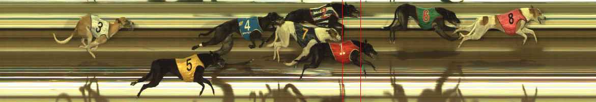 Photo finish for The Meadows Race 10