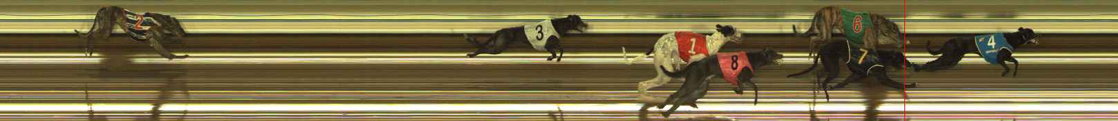Photo finish for The Meadows Race 11