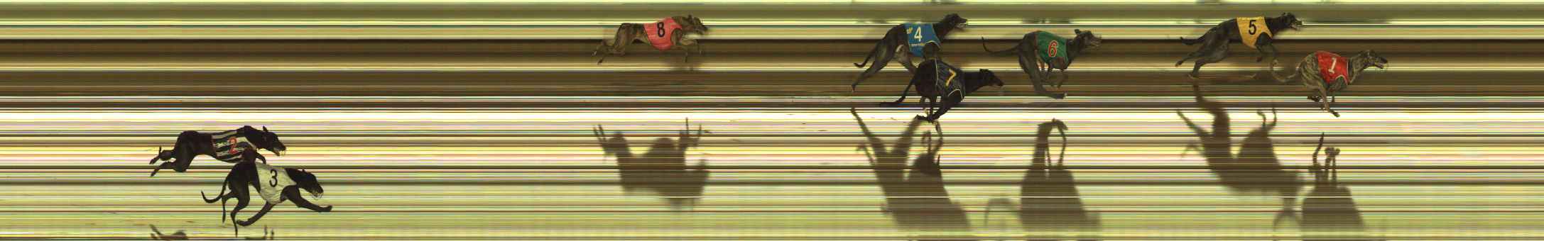 Photo finish for The Meadows Race 12