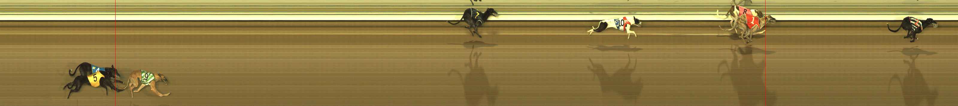 Photo finish for The Meadows Race 1