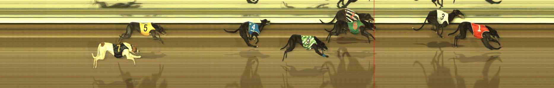 Photo finish for The Meadows Race 2