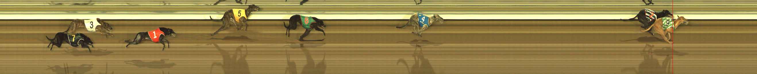 Photo finish for The Meadows Race 3
