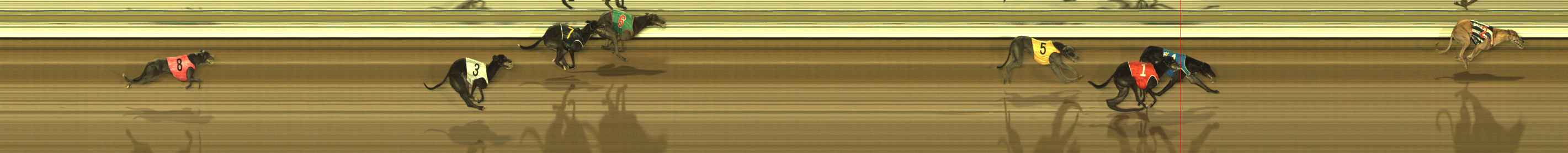 Photo finish for The Meadows Race 4