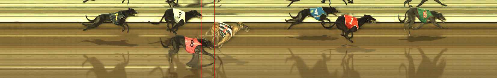 Photo finish for The Meadows Race 5