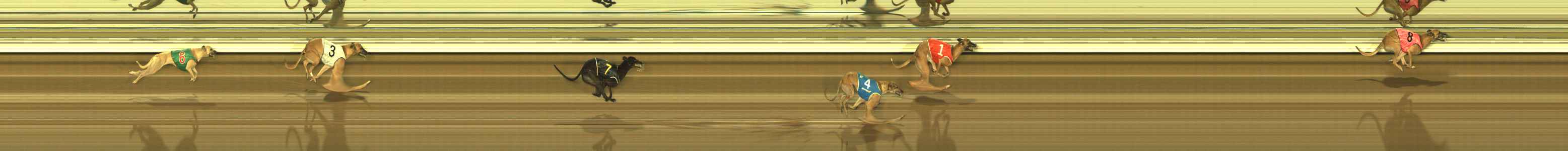 Photo finish for The Meadows Race 6
