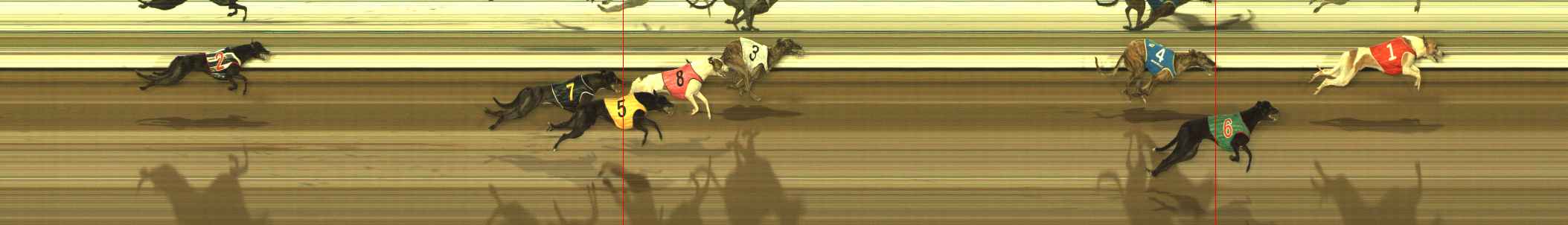 Photo finish for The Meadows Race 9