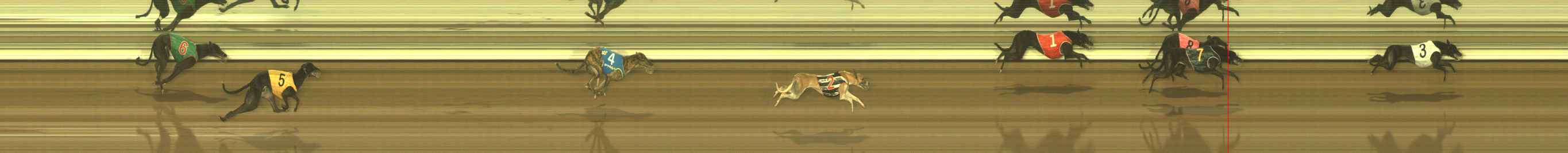 Photo finish for The Meadows Race 10