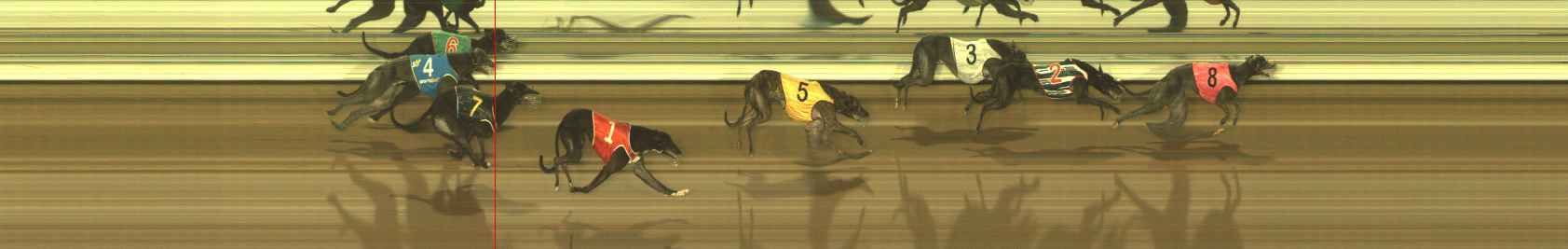 Photo finish for The Meadows Race 11