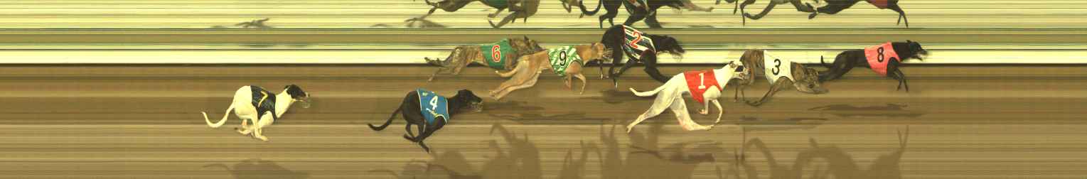 Photo finish for The Meadows Race 12