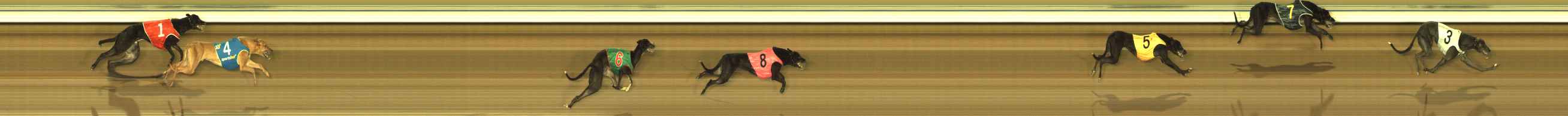 Photo finish for The Meadows Race 1