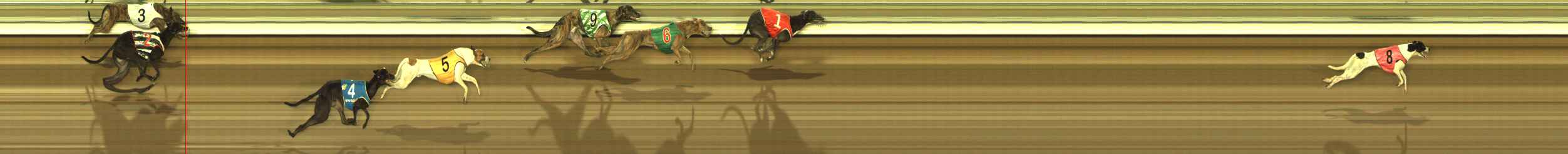 Photo finish for The Meadows Race 2