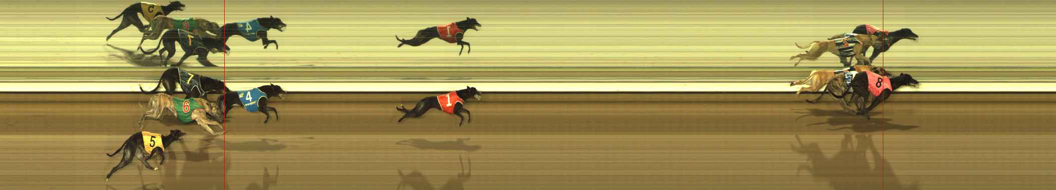 Photo finish for The Meadows Race 5