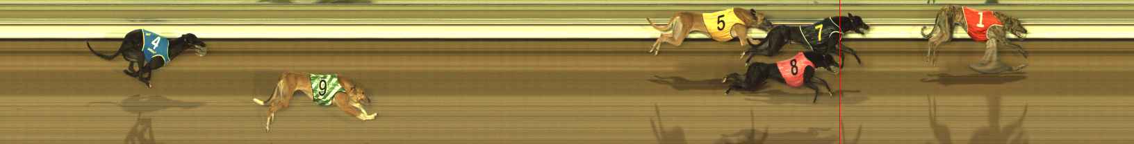 Photo finish for The Meadows Race 6