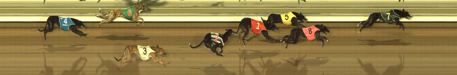 Photo finish for The Meadows Race 7