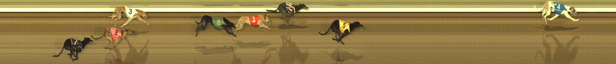 Photo finish for The Meadows Race 8
