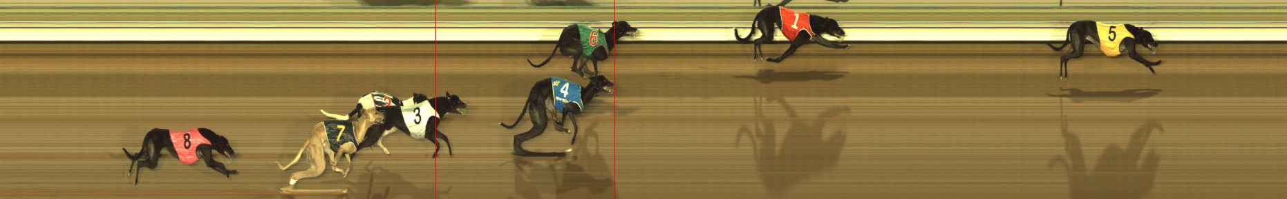Photo finish for The Meadows Race 9