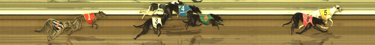 Photo finish for The Meadows Race 11