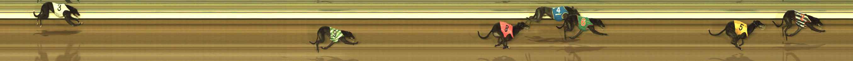 Photo finish for The Meadows Race 12
