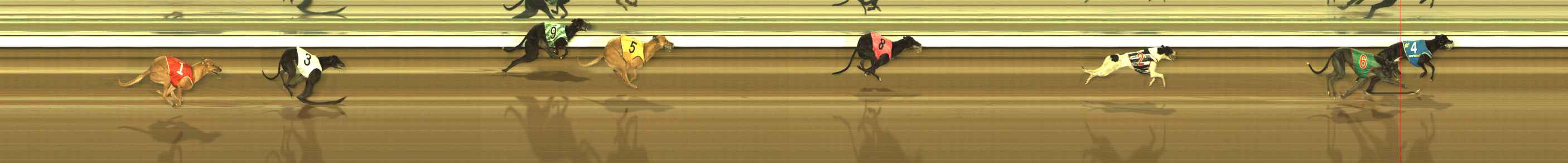 Photo finish for The Meadows Race 1