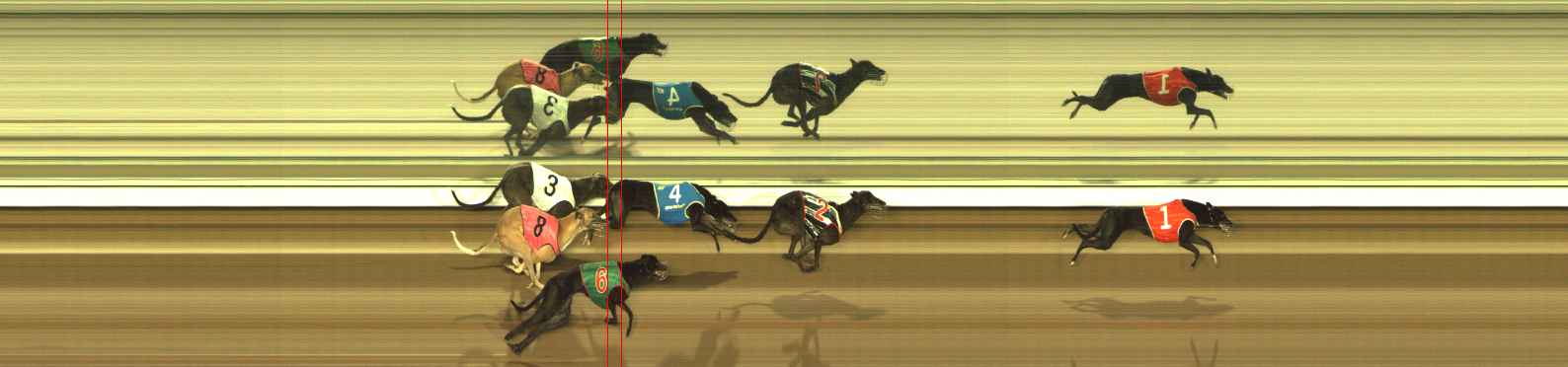 Photo finish for The Meadows Race 4