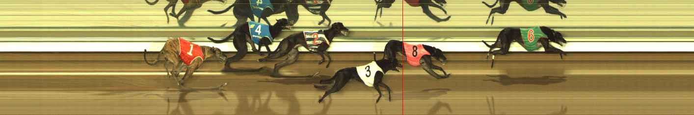 Photo finish for The Meadows Race 5
