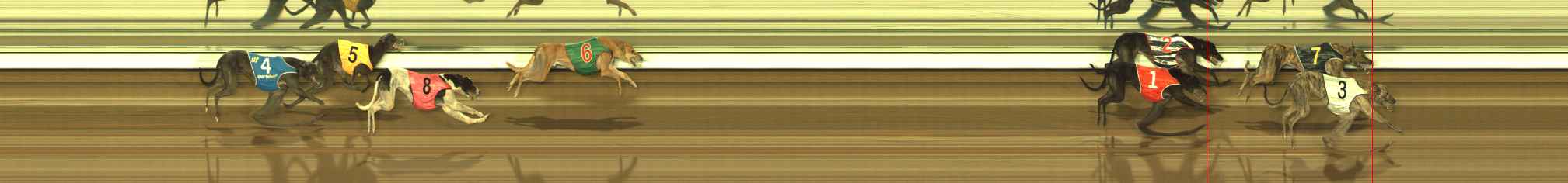 Photo finish for The Meadows Race 6