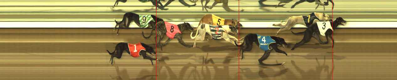Photo finish for The Meadows Race 7