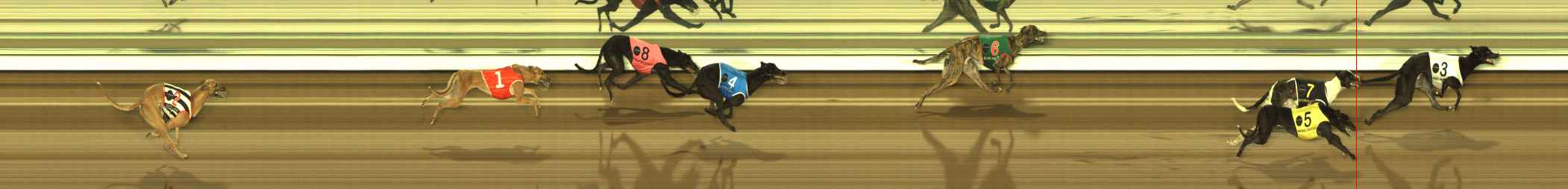 Photo finish for The Meadows Race 8
