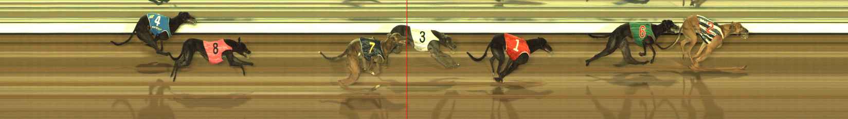 Photo finish for The Meadows Race 9