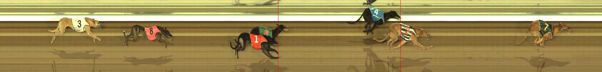 Photo finish for The Meadows Race 11