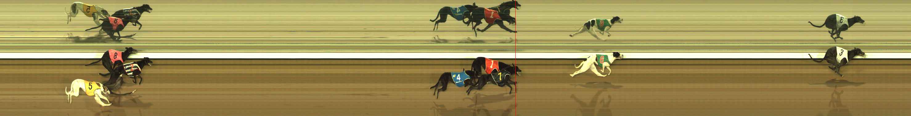 Photo finish for The Meadows Race 1