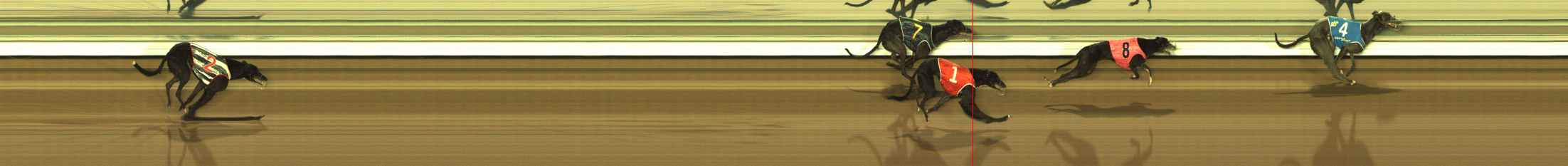 Photo finish for The Meadows Race 3