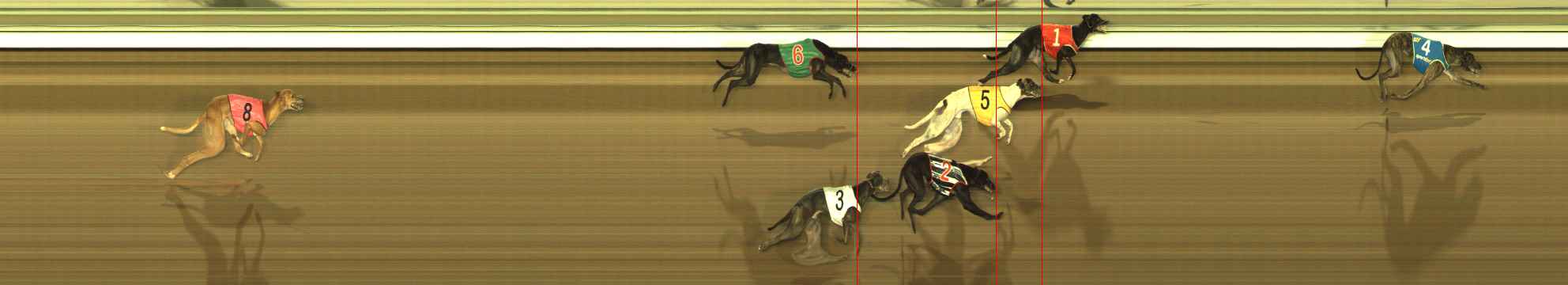 Photo finish for The Meadows Race 5