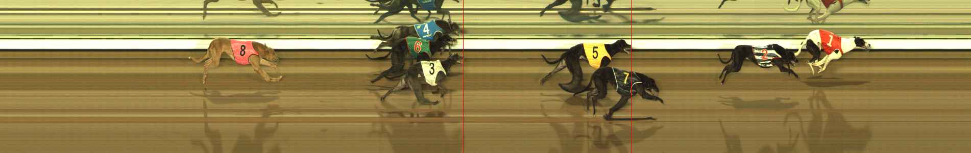 Photo finish for The Meadows Race 7