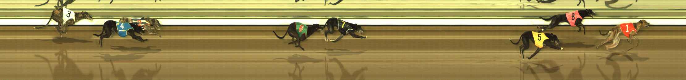 Photo finish for The Meadows Race 8