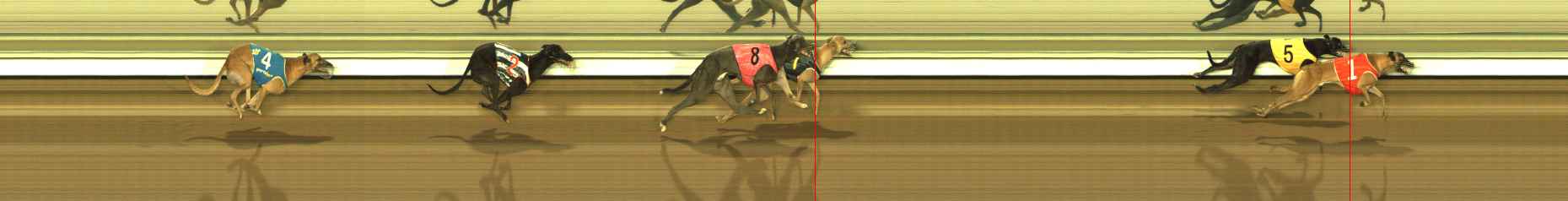 Photo finish for The Meadows Race 9