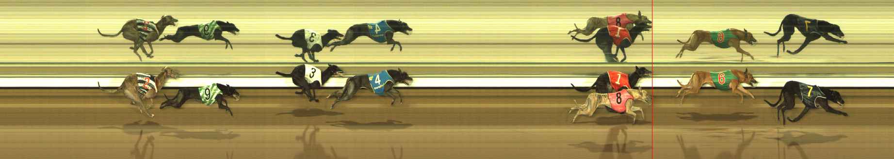 Photo finish for The Meadows Race 11