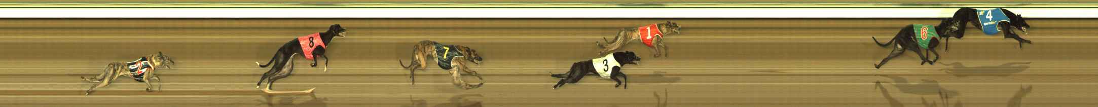 Photo finish for The Meadows Race 1