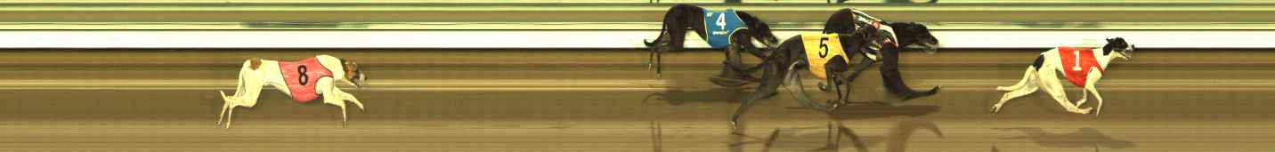 Photo finish for The Meadows Race 2