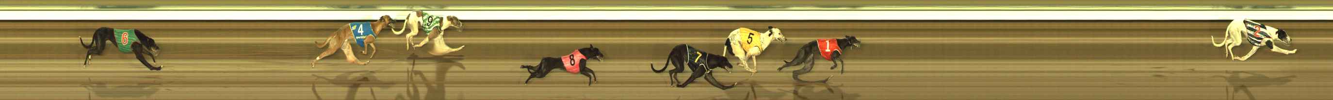 Photo finish for The Meadows Race 5