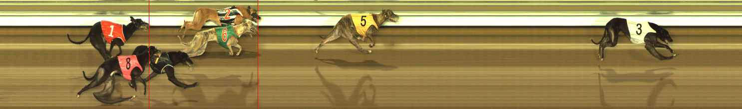 Photo finish for The Meadows Race 6