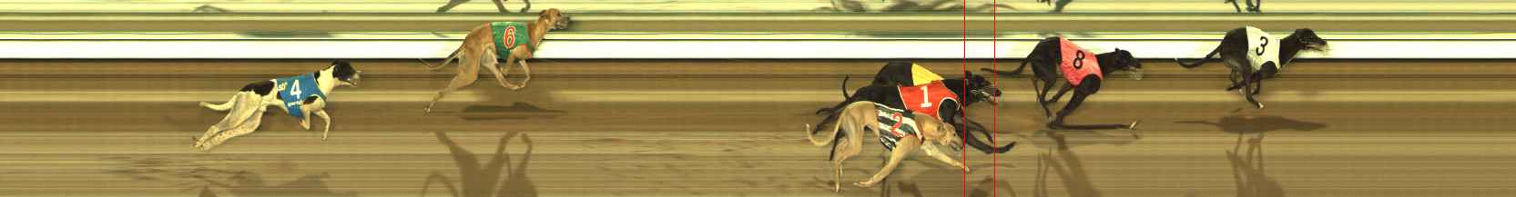 Photo finish for The Meadows Race 7
