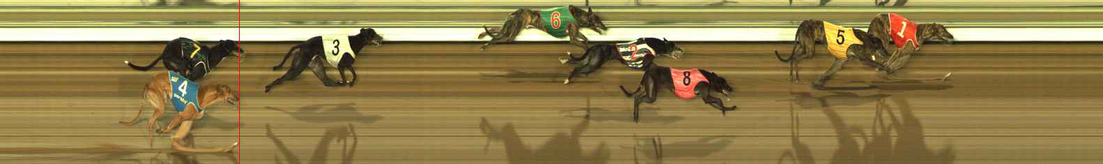 Photo finish for The Meadows Race 8