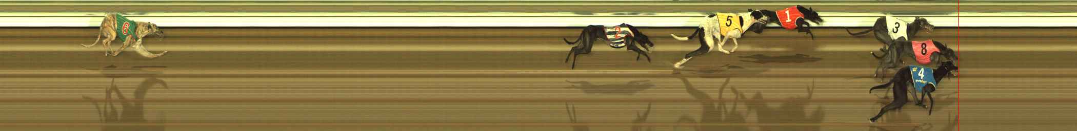 Photo finish for The Meadows Race 9