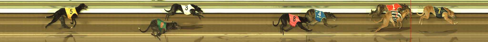 Photo finish for The Meadows Race 10