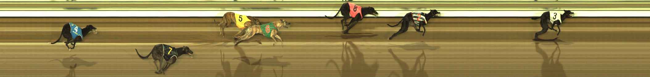 Photo finish for The Meadows Race 11