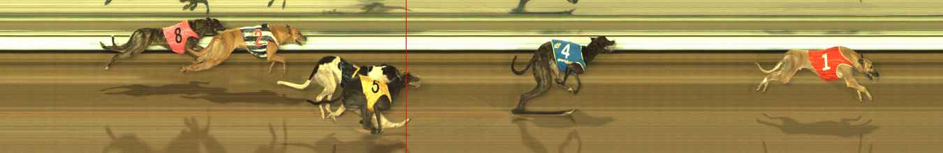 Photo finish for The Meadows Race 4