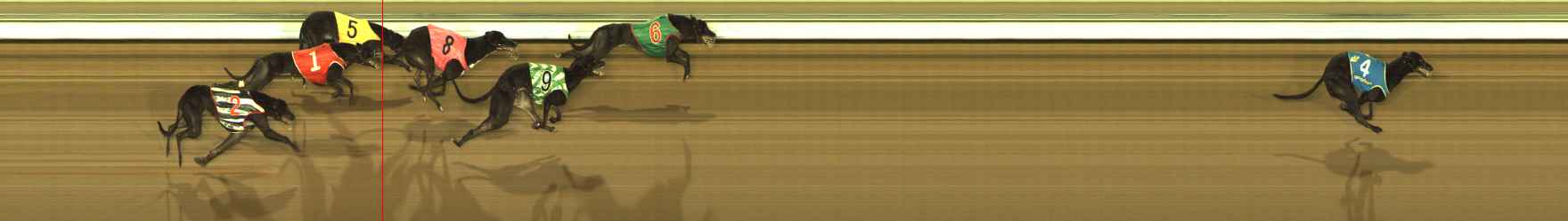 Photo finish for The Meadows Race 5